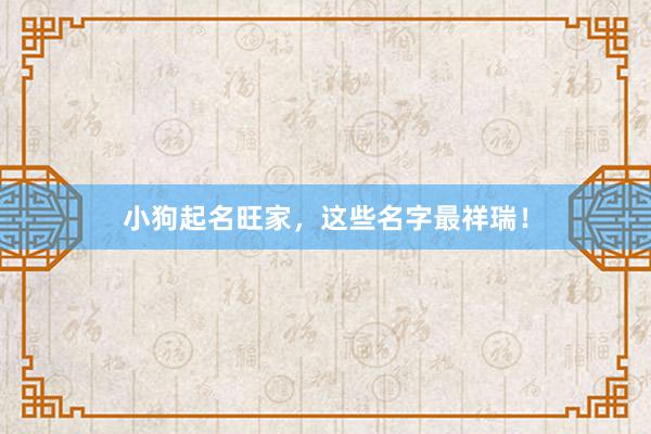 小狗起名旺家，这些名字最祥瑞！
