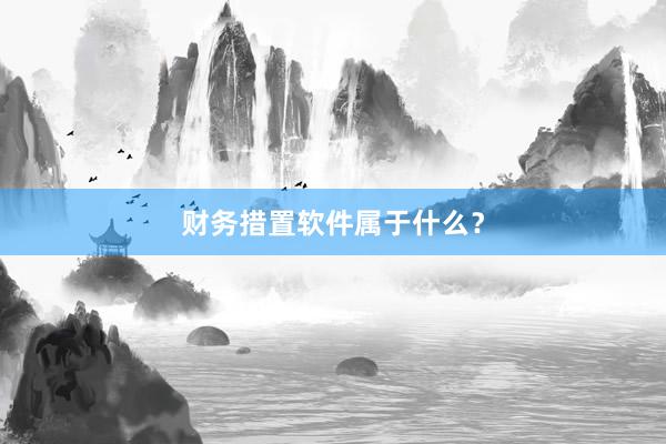 财务措置软件属于什么?